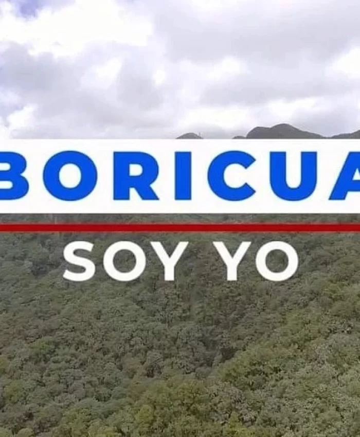 The Voice of a BORICUA on the 2024 Elections
