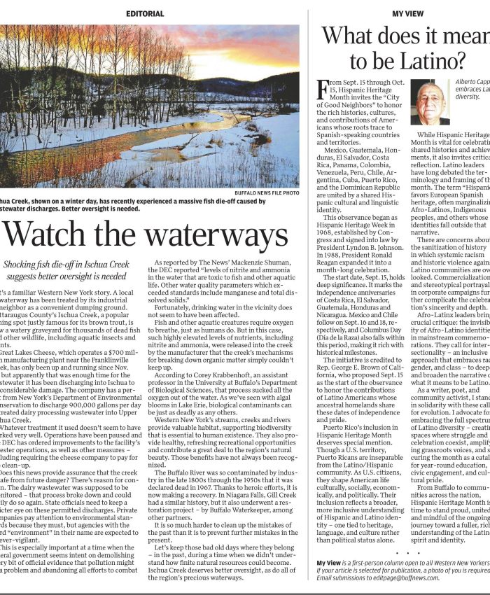 From the Opinion Page, Buffalo News: “What does it mean to be Latino?” by Alberto O. Cappas