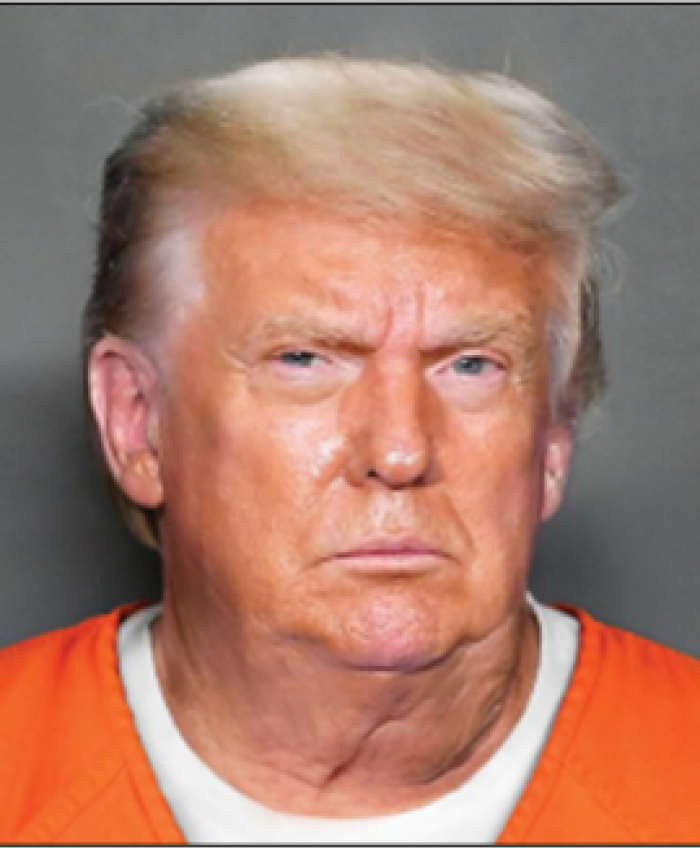 Simple Language, Simple man: DONALD TRUMP AND THE COMING OF THE STORM – Part 1